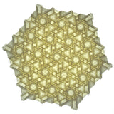 Lens Garden Crease Pattern