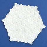 Lens Garden Crease Pattern