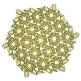Lens Garden Crease Pattern