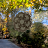 Laminated Suncatcher: Carnation