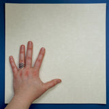 Square Skytone, 12.5 inch/31.75 cm, set of 50